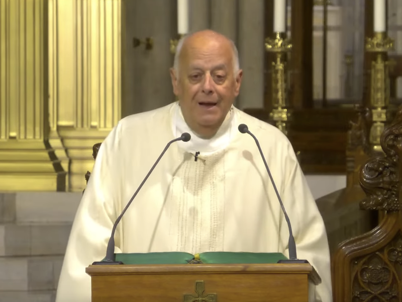 Msgr. LaMorte's Homily: August 12, 2025