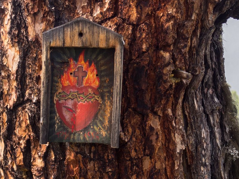 June Calendar Highlights: New York Catholic Bible Summit, Yankees Night, and Corpus Christi Devotion​