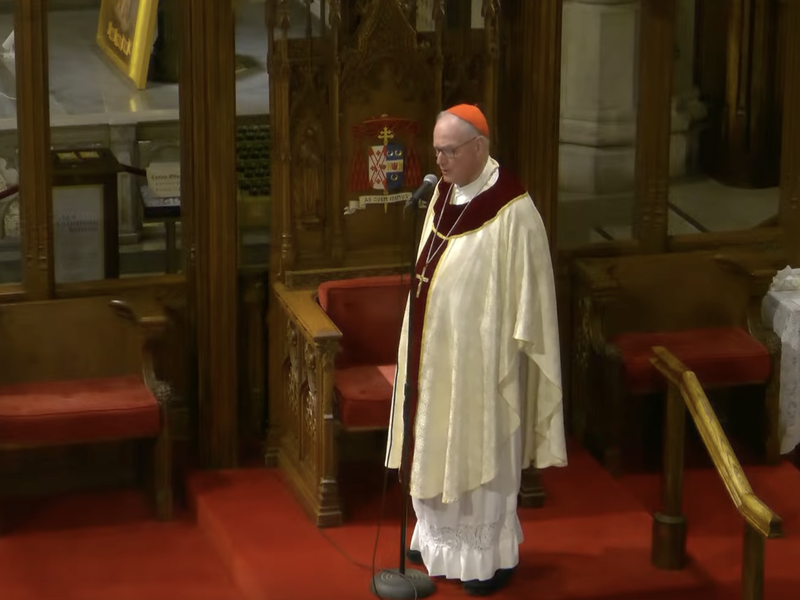 Cardinal Dolan's Homily: November 21, 2024