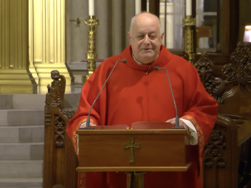 Msgr. LaMorte's Homily: November 22, 2024