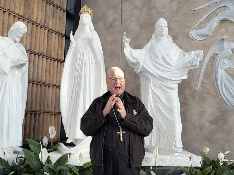 A Word from Cardinal Dolan: Visiting Knock Shrine | The Golden Rose