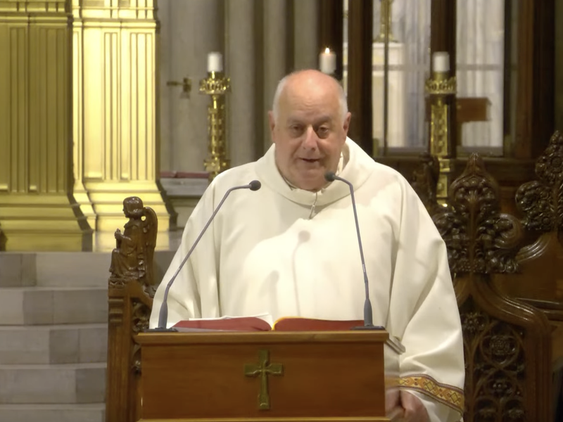 Msgr. LaMorte's Homily: July 31, 2024