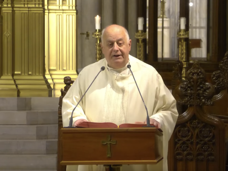 Msgr. LaMorte's Homily: July 15, 2024