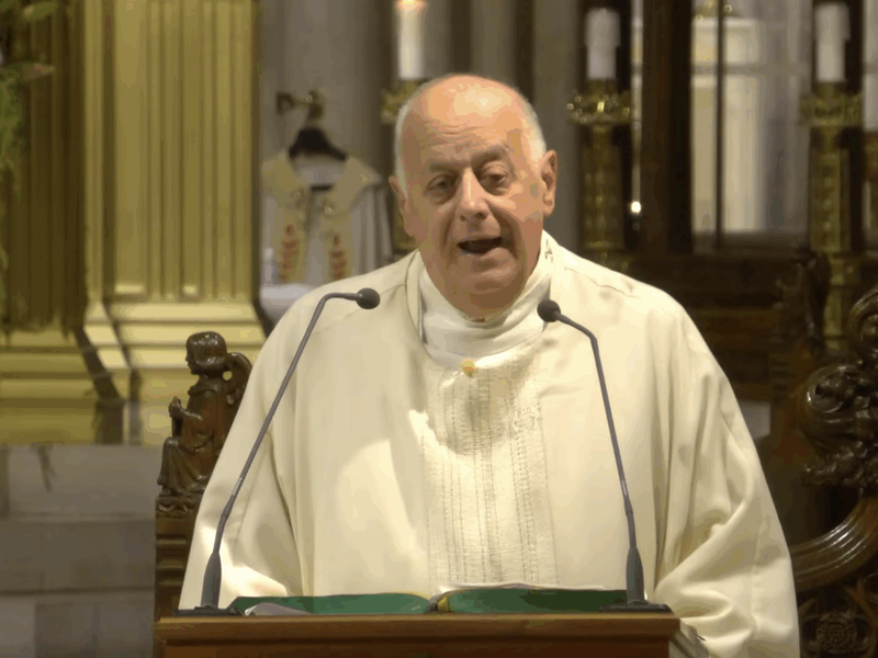 Msgr. LaMorte's Homily: September 10, 2025