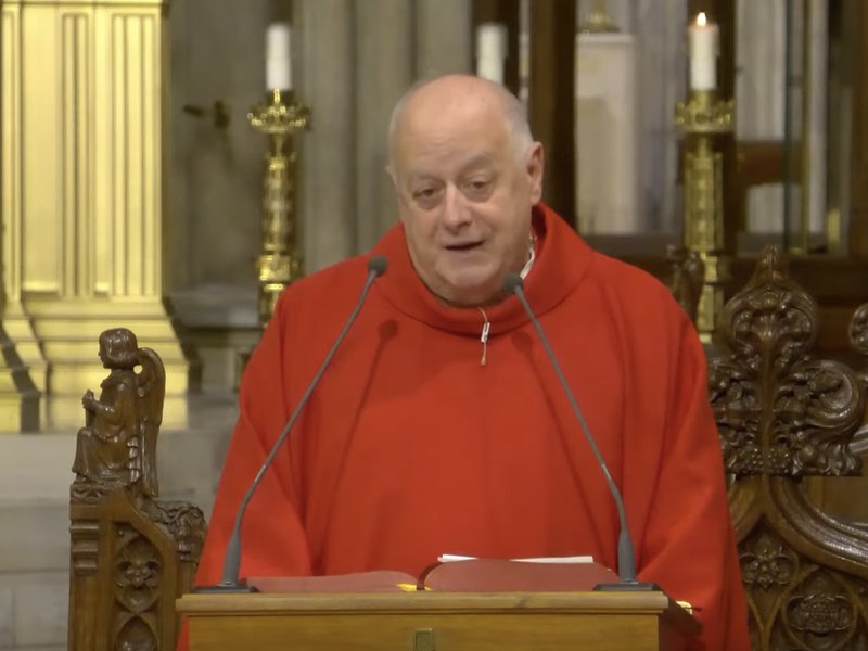 Msgr. LaMorte's Homily: November 12, 2024