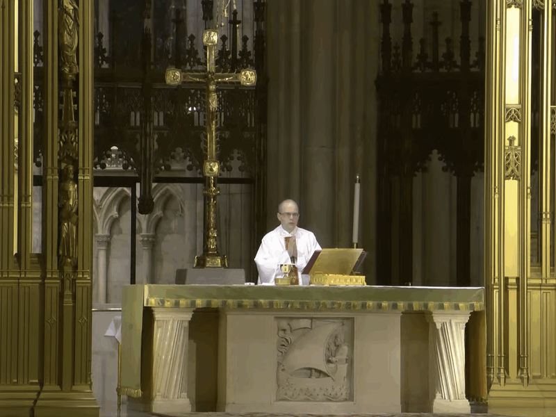 Fr. Andrew King’s Homily: July 29, 2025