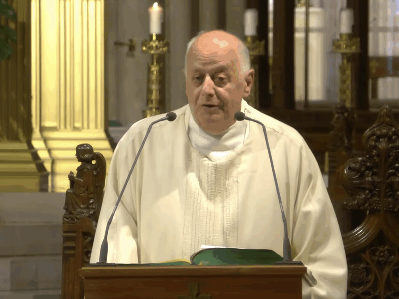 Msgr. LaMorte's Homily: July 22, 2025