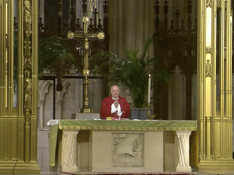 Msgr. LaMorte's Homily: August 13, 2024