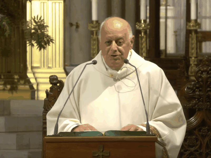 Msgr. LaMorte's Homily: August 25, 2025