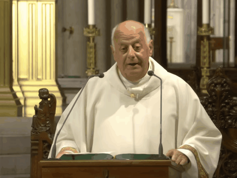 Msgr. LaMorte's Homily: August 8, 2025