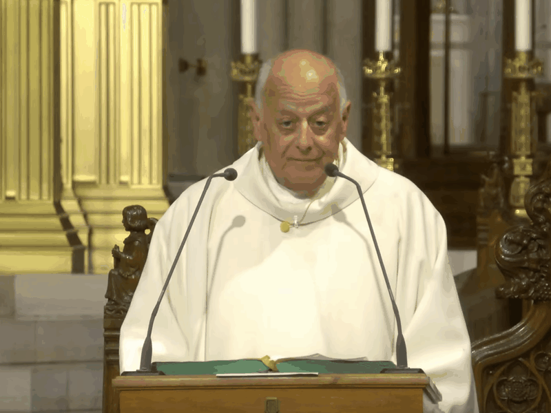 Msgr. LaMorte's Homily: August 11, 2025