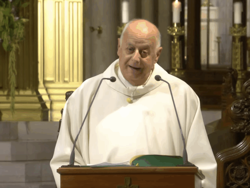 Msgr. LaMorte's Homily: September 8, 2025