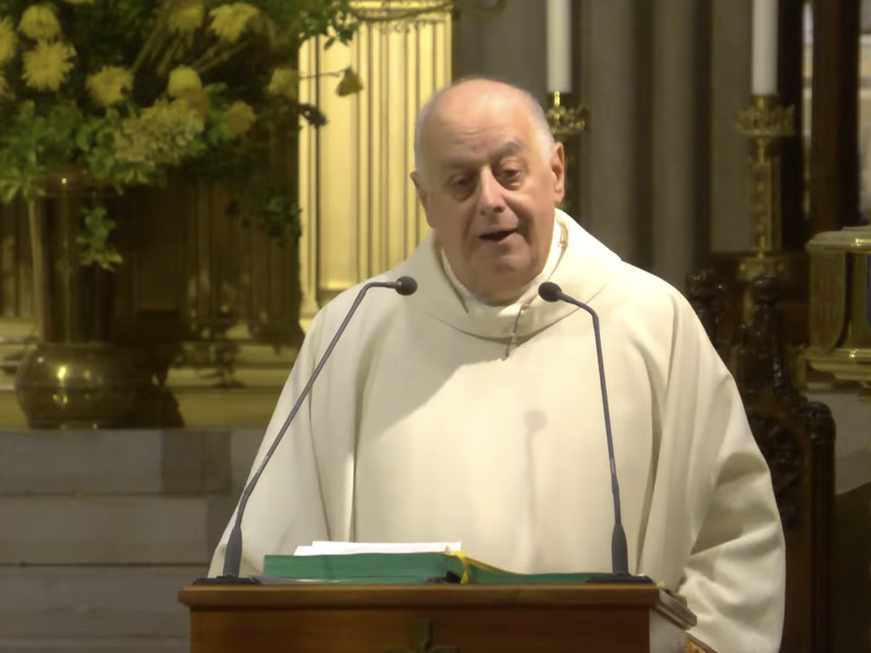 Msgr. LaMorte's Homily: June 4, 2025