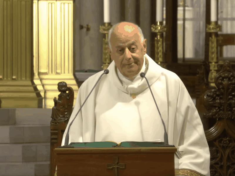 Msgr. LaMorte's Homily: August 13, 2025