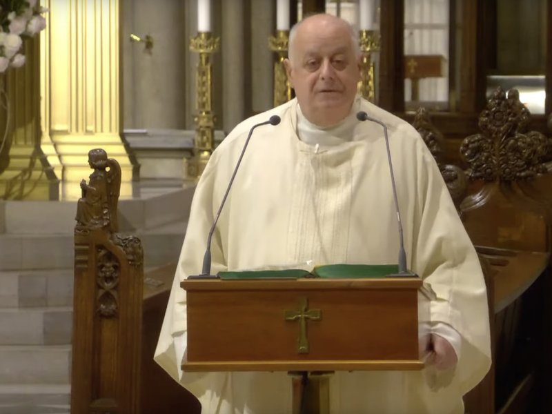 Msgr. LaMorte's Homily: November 15, 2023