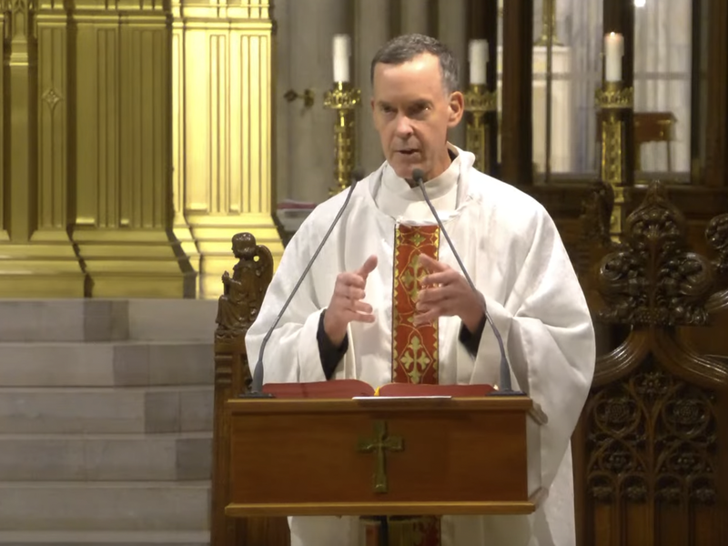 Fr. Donald Haggerty’s Homily: July 11, 2024