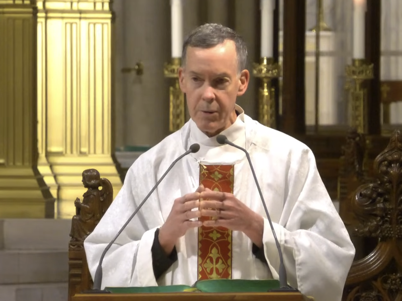 Fr. Donald Haggerty’s Homily: November 13, 2025