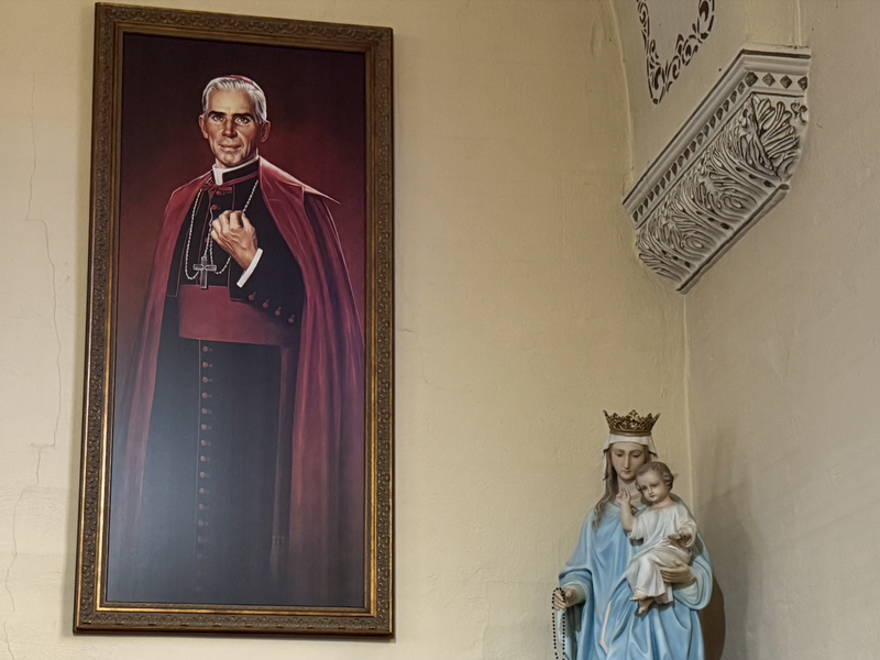 The Birth of Blessed: Illinois Parish Rejoices Over Beatification
