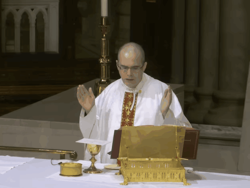 Fr. Andrew King’s Homily: October 8, 2025
