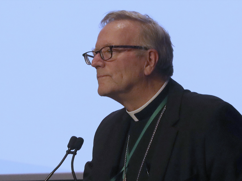 'Helping Young People Accept Their Bodies and Their Vocation as Women and Men Is the True Path of Freedom and Happiness,' Says Bishop Robert Barron