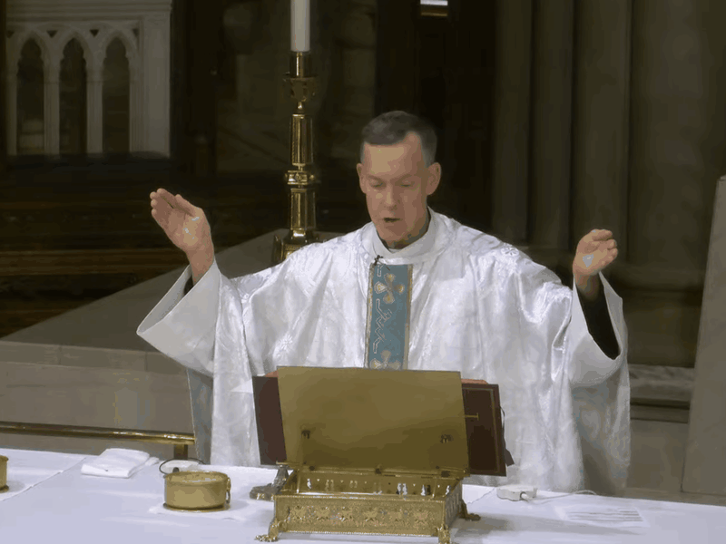 Fr. Donald Haggerty’s Homily: October 30, 2025