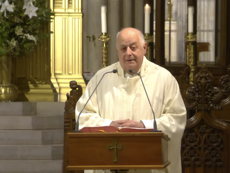 Msgr. LaMorte's Homily: June 12, 2024