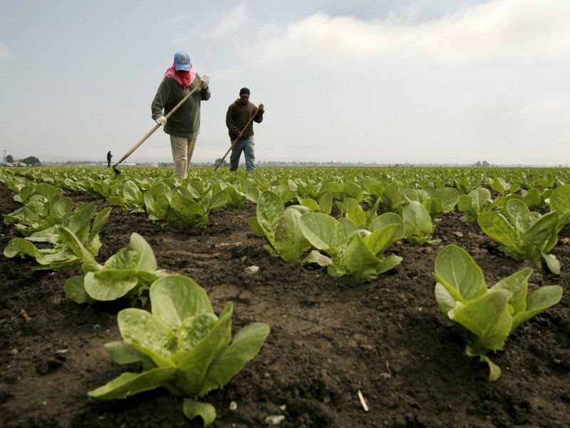 Labor Day 2023 Statement Focuses on “Radical Solidarity” and Ongoing Support for the Well-Being of All Families