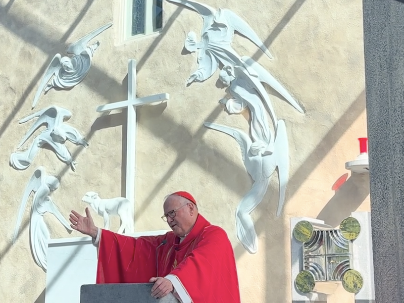 A Word from Cardinal Dolan: Homily from Knock 