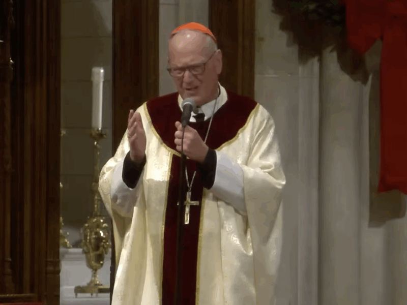 Cardinal Dolan's Homily: December 11, 2025