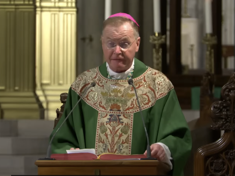 Bishop Edmund Whalen's Homily: July 10, 2026