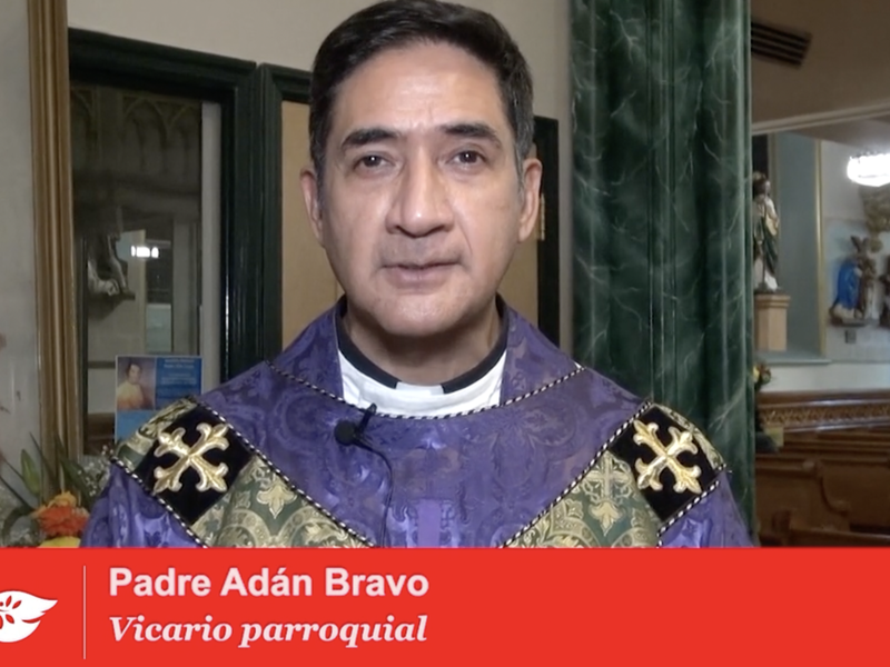 Miles participarán en las festividades de Nuestra Señora de Guadalupe | Thousands will participate in the festivities of Our Lady of Guadalupe