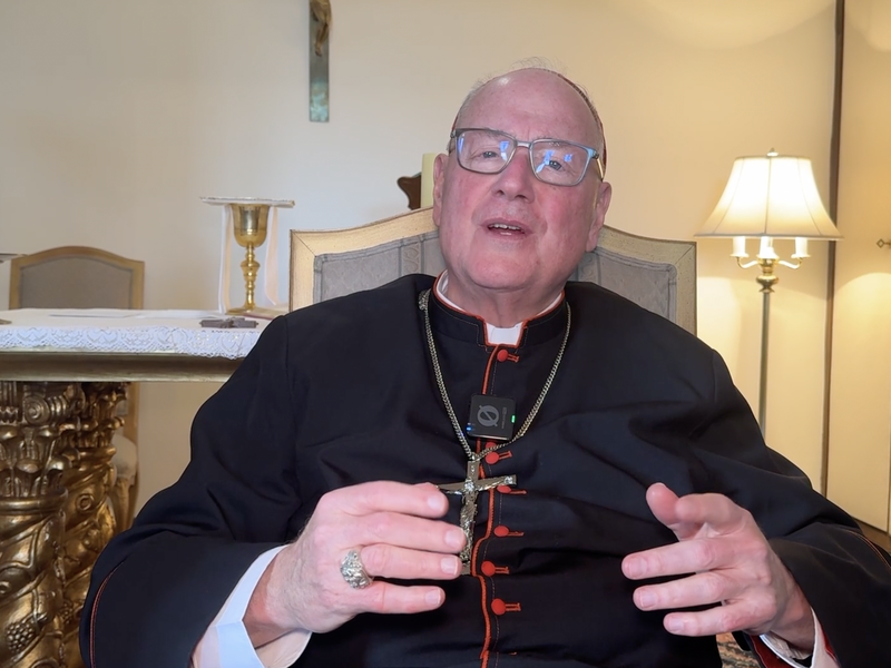Cardinal Dolan Discusses Pope Leo XIV From Rome