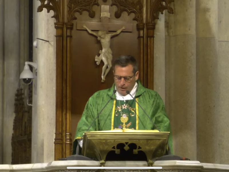 Fr. Enrique Salvo's Homily: July 23, 2023