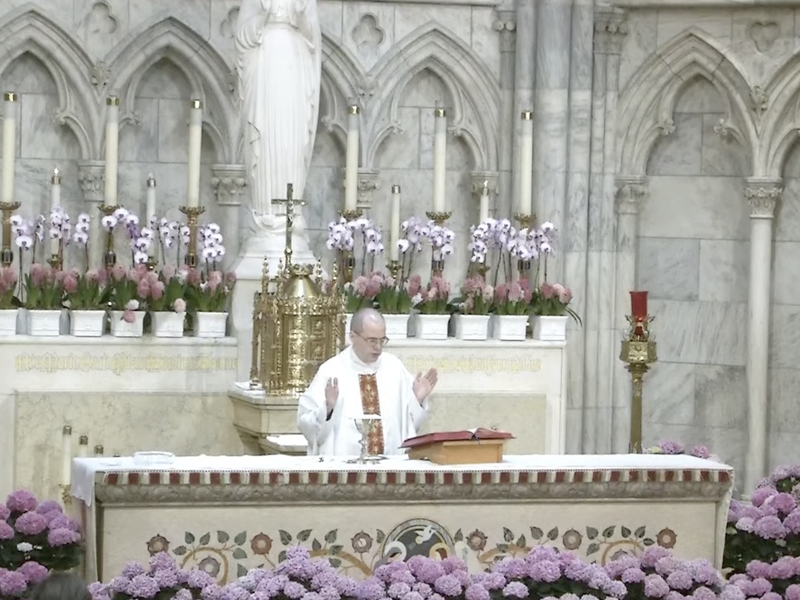 Fr. Andrew King's Homily: April 15, 2023 