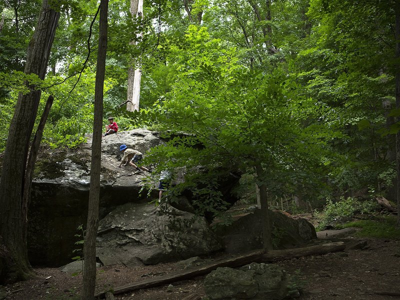 Pope's Prayer for September: Respecting, Protecting God's Creation
