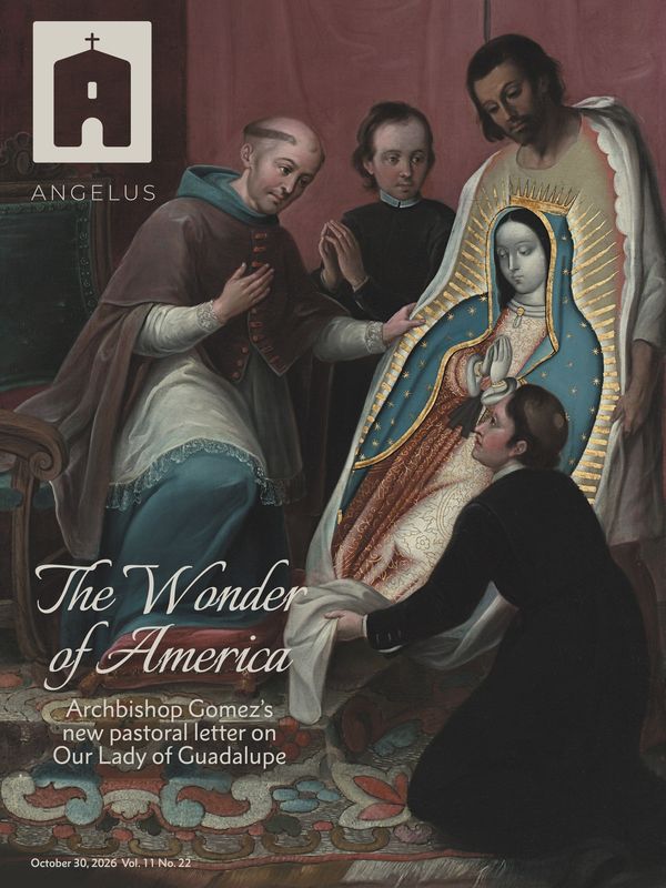 Cover: The Wonder of America