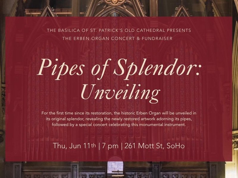 Pipes of Splendor: The Unveiling