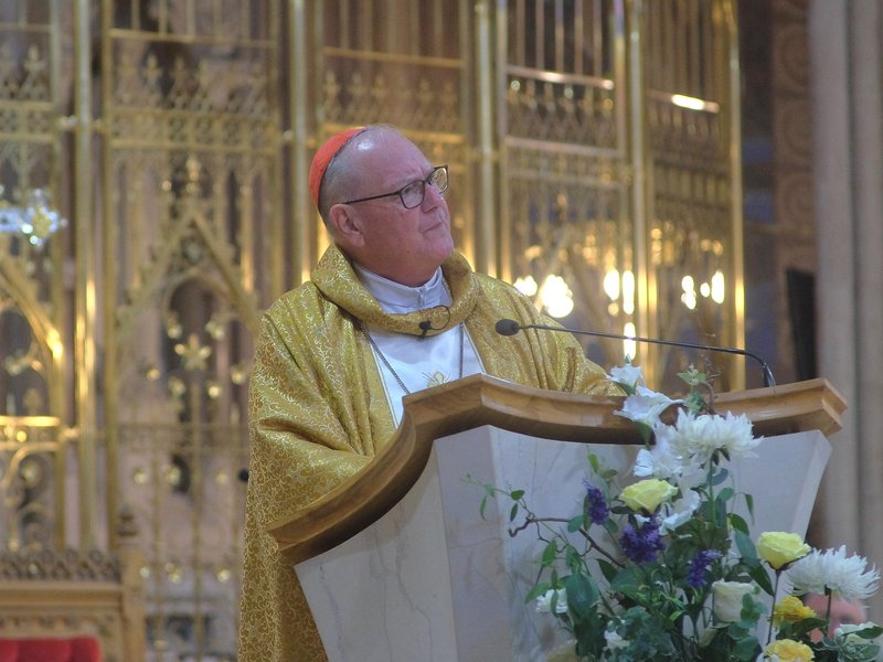 Arrived in Rome for the Synod