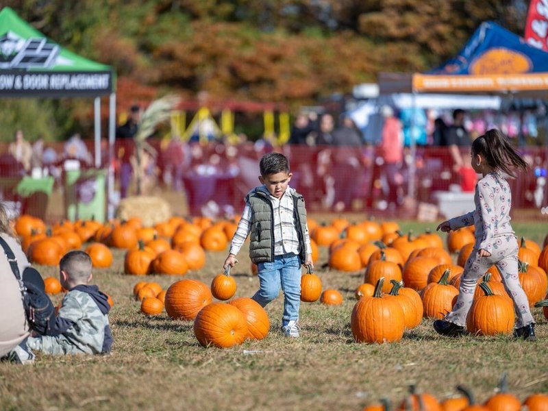 Catholic Charities of Staten Island Set for Weekend Fall Festival