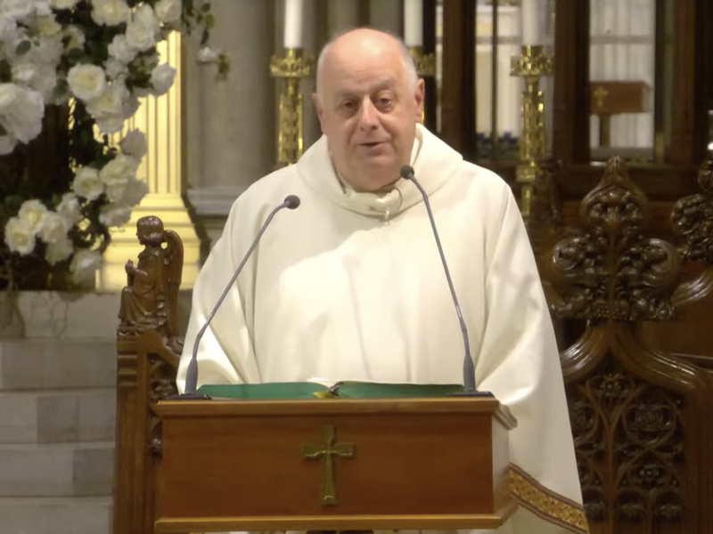 Msgr. LaMorte's Homily: July 31, 2023 