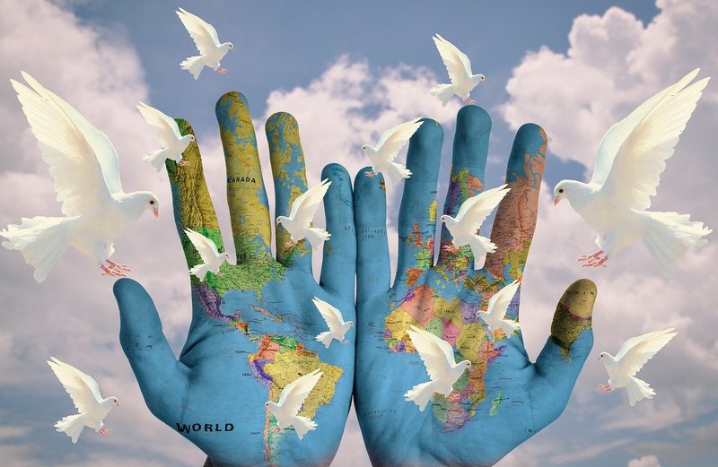 Imagen referencial. Credito: PIXABAY