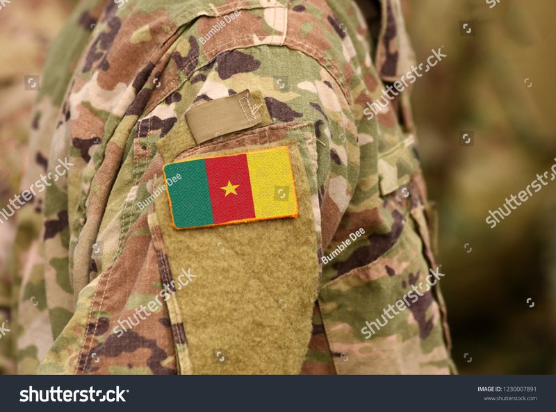(Bumble Dee, Shutterstock)