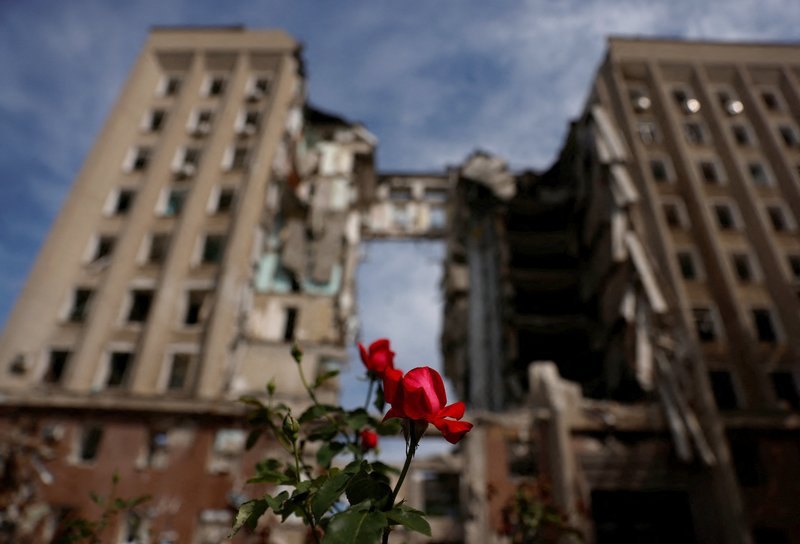 Una flor frente al edificio destruido de la administración regional tras los bombardeos de las tropas rusas en Mykolaiv, Ucrania, 8 de junio de 2022. (CNS/Edgar Su, Reuters)