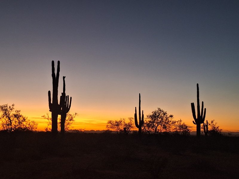 Un atardecer en el desierto de Sonora, Arizona, donde un equipo de 14 voluntarios, formado en su mayoría por seminaristas y sacerdotes jesuitas, llevó a cabo una misión de búsqueda y rescate los días 20 y 22 de diciembre de 2024, para buscar a migrantes desaparecidos o muertos que cruzaron la frontera entre Estados Unidos y México. (Foto OSV News/cortesía de Luke Taylor, S.J.)