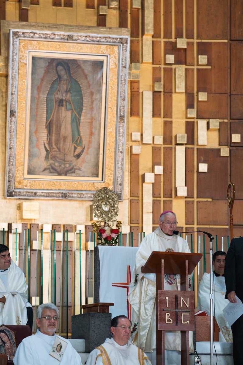 Catholic priest delivering a sermon at a wooden lectern during Mass, with a framed Virgin of Guadalupe painting on an ornate wall behind him.