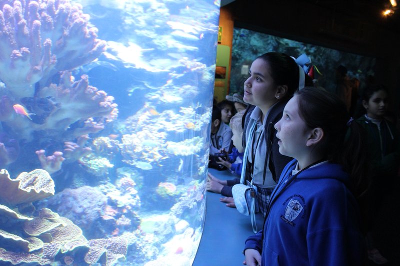 Blessed Sacrament, Hollywood: Students from Blessed Sacrament School in Hollywood took an all-school field trip to the Aquarium of the Pacific on Jan.31. MICHELLE DE GUZMAN