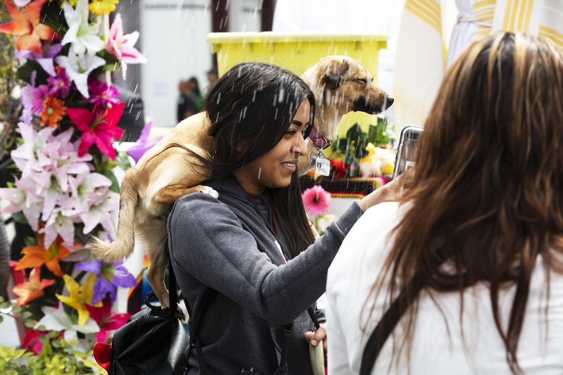 A dog and its owner are blessed with holy water during the "Blessing of the Animals" at the historic La Placita Olvera on Holy Saturday. VICTOR ALEMÁN/ANGELUS NEWS