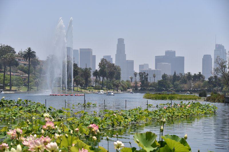 Echo Park Lake in Los Angeles. (SHUTTERSTOCK)