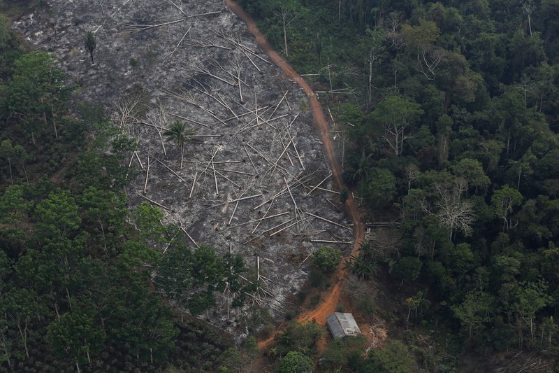 This is an aerial view of a deforested plot of the Amazon at the Bom Futuro National Forest in Porto Velho