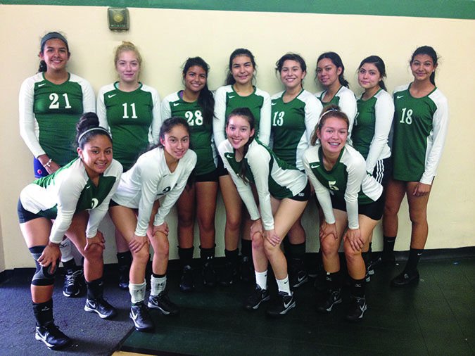 volleyball